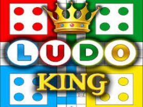 Ludo King®