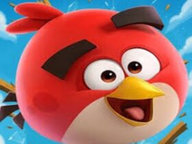 Angry Bird