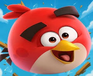 Angry Bird