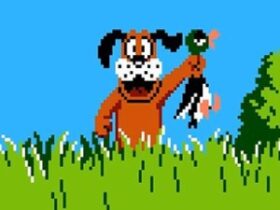 Duck Hunt