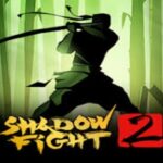 shadow fight 2