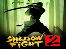 shadow fight 2